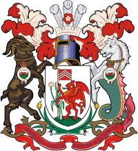 Irish Emblem