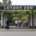 London Zoo