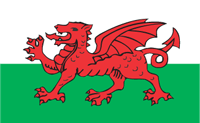 Welsh Flag
